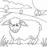 Sheep Coloring Pages Animal Cute Colouring Books sketch template