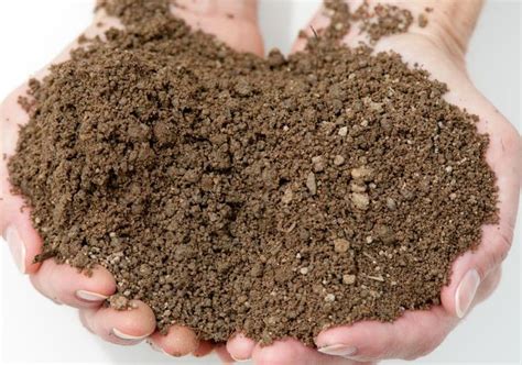 loamy  soil   mixture  sand clay  silt particles