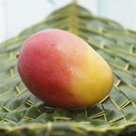 cut  prepare fresh mango