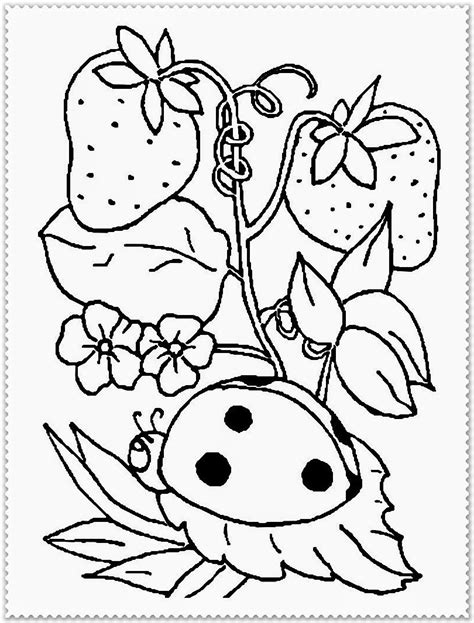 springtime pictures coloring pages  adults  print coloring home