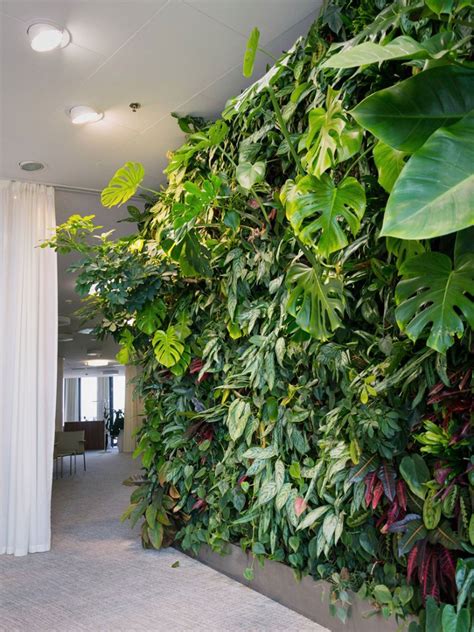 plants   indoor wall houseplants  indoor vertical gardens
