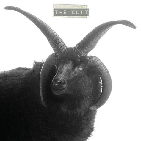 cult album   cult spotify