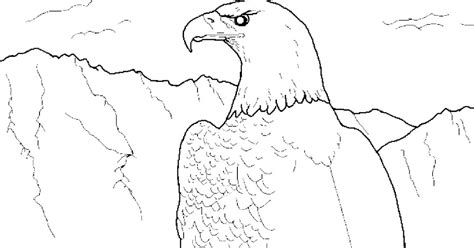 forest wildlife art bald eagle coloring book page
