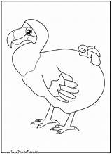 Dodo Oiseaux Coloriages Autre sketch template