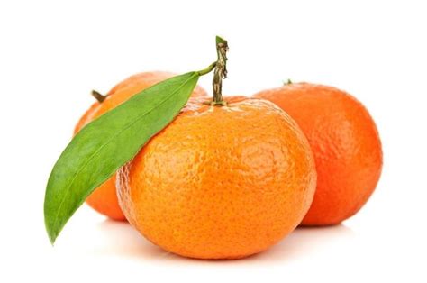 lengkap mengenal buah jeruk lebih dekat