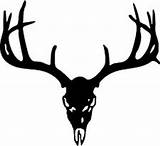 Deer Stencil Skull Clipart Head sketch template