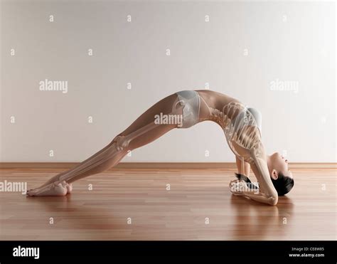 yoga computer artwork stock photo alamy