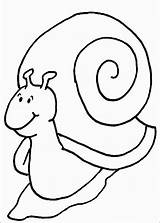 Snail Coloring Printable Sheet Pages Kids sketch template