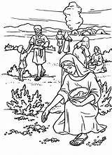 Coloring Manna Bible Pages Quail Para Sheet Exodus Moses Kids Del Israel Colorear Pueblo Israelites Dibujo Cloud Niños Printable Children sketch template