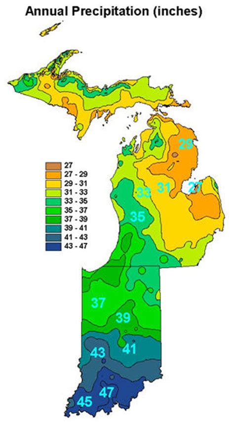 average rainfall