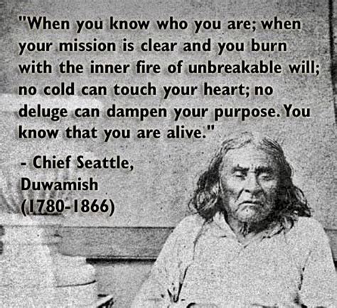 pin by sherrie fuscone on myfolder american indian