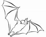 Colorir Fledermaus Murcielago Morcego Ausmalbilder Murcielagos Imprimir Ausmalbild Kolorowanki Morcegos Dzieci Nietoperz Pintarcolorir Buscando Murciélago Coloringhome sketch template