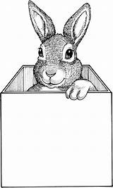 Rabbit Coloring Pages Box sketch template