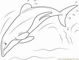 Dolphin Hector Coloringpages101 sketch template