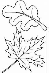 Kleurplaat Herfstbladeren sketch template