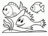 Coloring Pages Animal Toddlers Kids Popular sketch template