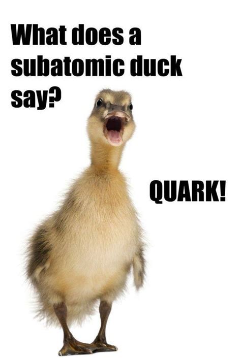 Duck Funny Physics Humor Funny Science Jokes Science Jokes