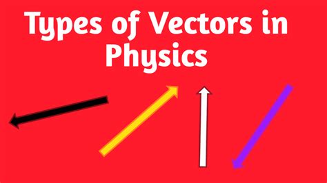 types  vectors  physics  examples bzu science