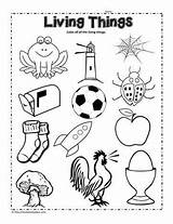 Living Things Clipart Circle Worksheets Worksheet Coloring Grade Science Kindergarten 1st Nonliving Non Preschool Printable Pages Kids Activities Worksheetplace Sheet sketch template