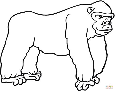 gorilla  coloring page  printable coloring pages