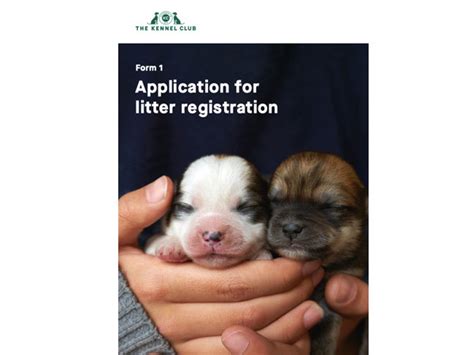 litter registration registrations  kennel club shop