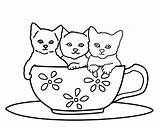 Cup Kittens Cat Coloring Pages Three Cats Cute Tree sketch template