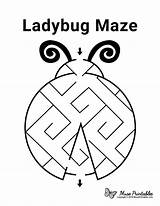 Maze Ladybug Mazes Museprintables sketch template