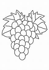 Grapes Coloring Pages Fruit Printable Color Ape Getcolorings Colouring Getdrawings Wine Drawing sketch template