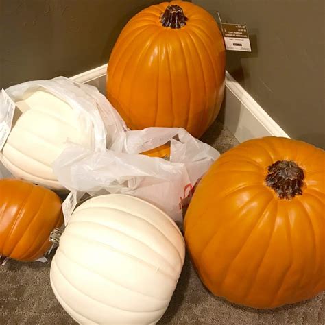 craft pumpkin ideas  fall good   simple