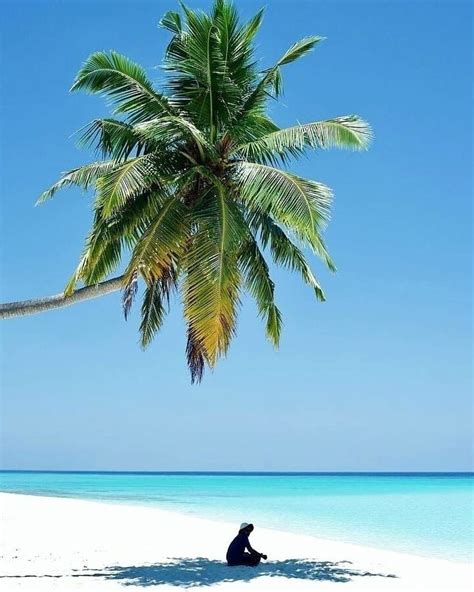 beach beachlife sea vitaminsea ocean paradise nature atthebeach