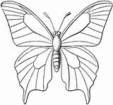 Borboletas Riscos Pintar бабочки рисунки Papillon шаблоны Motyl Quilling Mariposa как Panos Prato Pedrarias Bordados Olorir sketch template