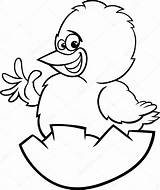 Chicken Drawing Cartoon Egg Hatching Coloring Easter Chick Getdrawings sketch template