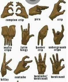 hand signals meaning yahoo search results yahoo image search results