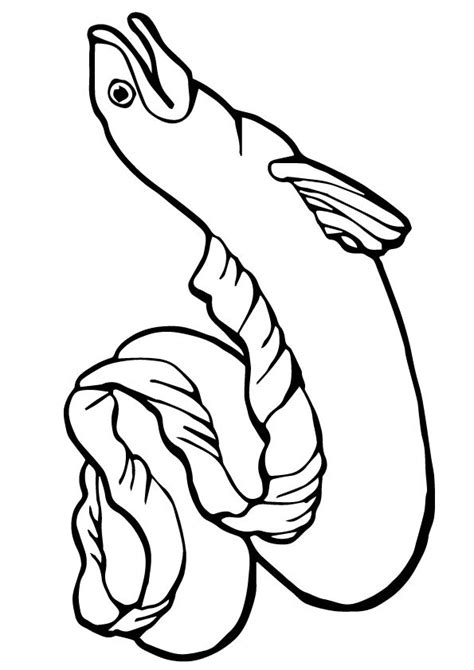 amazing sea animals coloring pages     coloring