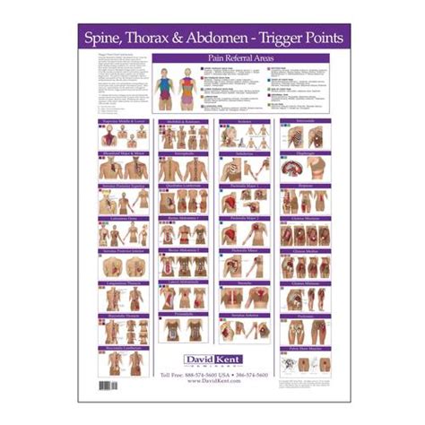 trigger point chart free