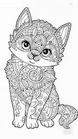 Coloring Mandala Cute Kitten Doodle sketch template