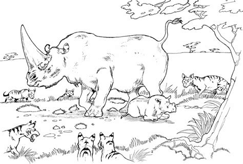 animal species  habitats   jungle coloring pages