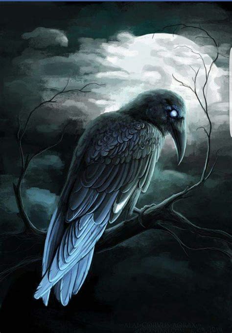Raven And Wolf Quoth The Raven Raven Bird Crow Art Bird Art