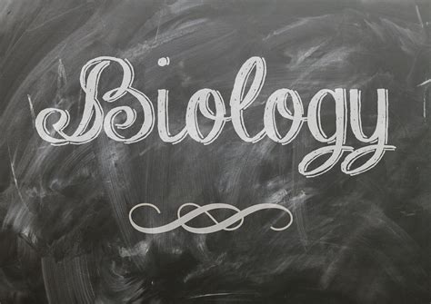 biologie plakat betreff kostenloses bild auf pixabay