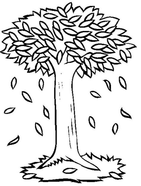 coloring page  kids tree coloring page leaf coloring page fall