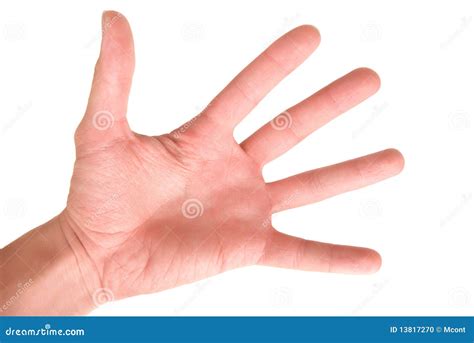 human arm stock photo image