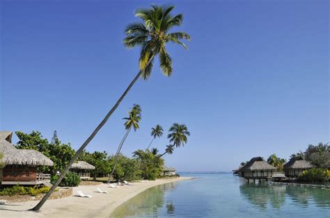 intercontinental moorea resort and spa french polynesia reviews