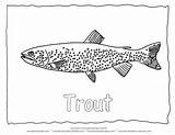 Coloring Trout Pages Tahoe Colouring Lake Fish Forelle Zum Animal Designlooter Animals Color 612px Sheets 24kb Sheet Adult Ausmalbilder Fischen sketch template