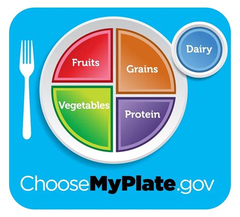 healthy eating plate  usdas myplate  nutrition source