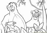 Baloo Jungle Book Mowgli Pages Bagheera Coloring Colorare Disegni Da Printable Color Colouring Disney Di Drawings Online Books Illustration Cartoons sketch template