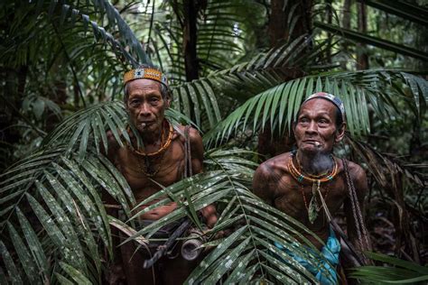 indigenous tribes  indonesia characteristics factsofindonesiacom