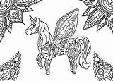 Einhorn Ausmalbilder Colorare Unicorno Paisley Fee Malvorlage Horizontale Bambini Unicornio Verzierung Ornamento Orizzontale Horse Licornes Erwachsene Farbtonseite Volwassen Kleurende Eenhoorn sketch template