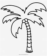 Palmera Pages Libroadicto Pngkit Toppng Pinclipart sketch template