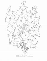 Gladiole Planse Colorat Gladiolus Si Sunt Ro Universdecopil Desenat Buchet Dragostea Aventurii Renuntarea Citeste Iubirii Cunoaste Legendele Simbolul sketch template