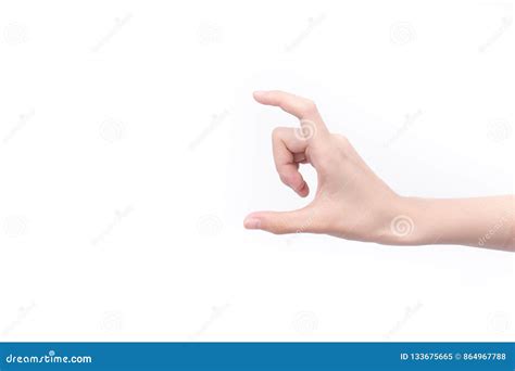 hands holding  stock image image  holding limb